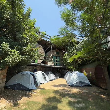 Camping Mandala